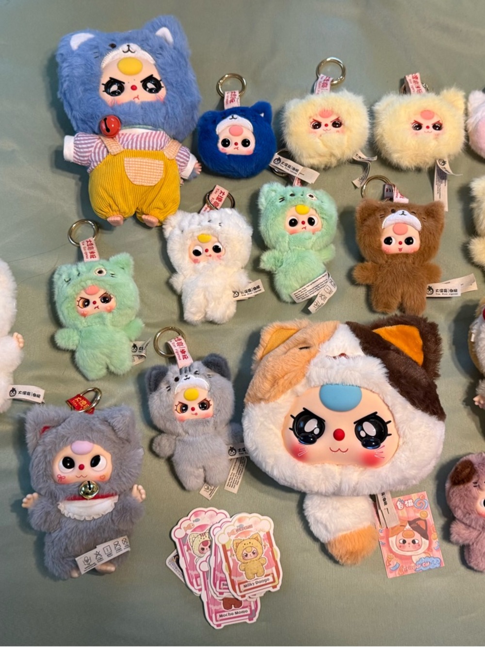 Baby Three Cat Collection - LARGE
